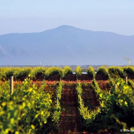 Vila Ocre I Blau Canet-en-Roussillon
