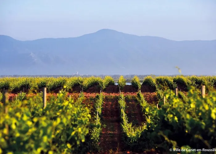 Villa Ocre I Blau Canet-en-Roussillon